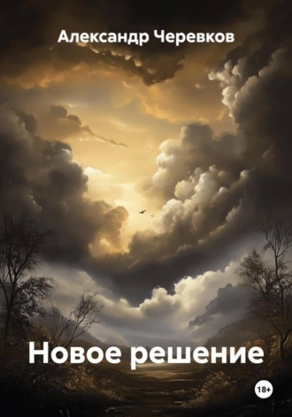 Обложка книги «Новое решение»