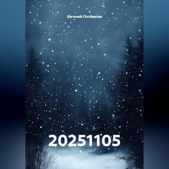 Обложка книги «20251105»
