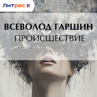 Обложка книги «Происшествие»