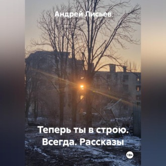 Обложка книги «Теперь ты в строю. Всегда. Рассказы»