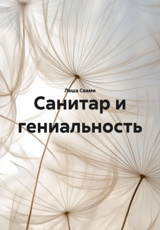 Обложка книги «Санитар и гениальность»