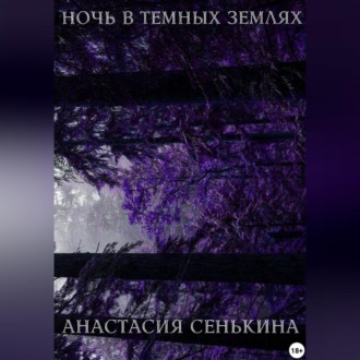 Обложка книги «Ночь в тёмных землях»