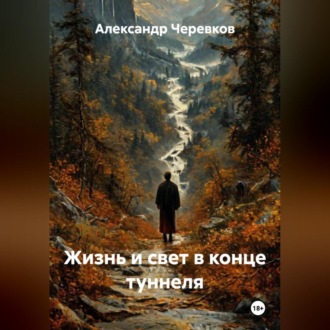 Обложка книги «Жизнь и свет в конце туннеля»