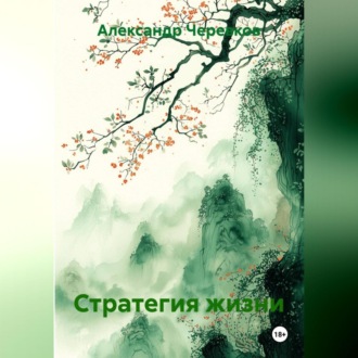 Обложка книги «Стратегия жизни»