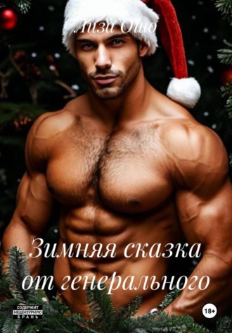 Обложка книги «Зимняя сказка от генерального»