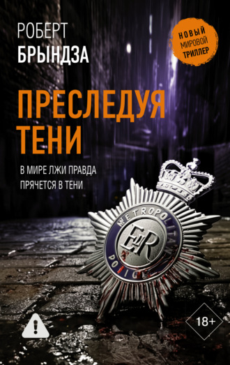 Обложка книги «Преследуя тени»