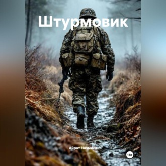 Обложка книги «Штурмовик»