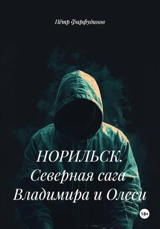 Обложка книги «НОРИЛЬСК. Северная сага Владимира и Олеси»