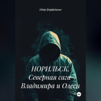 Обложка книги «НОРИЛЬСК. Северная сага Владимира и Олеси»