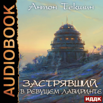 Обложка книги «Застрявший. Книга 4. Застрявший в Ревущем лабиринте»