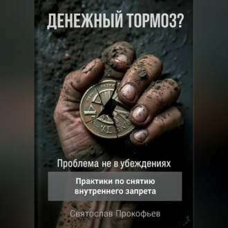 Обложка книги «Денежный тормоз? Проблема не в убеждениях»