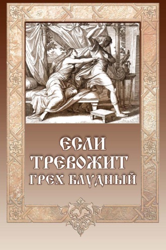 Обложка книги «Если тревожит грех блудный»