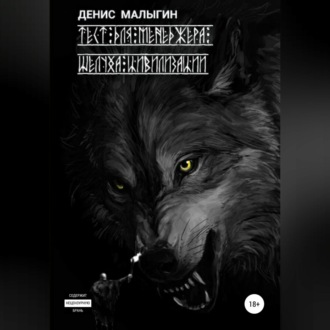Обложка книги «Тест для менеджера. Шелуха цивилизации»