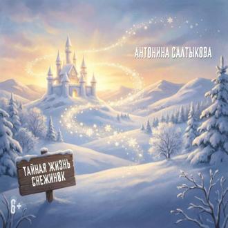 Обложка книги «Тайная жизнь снежинок»