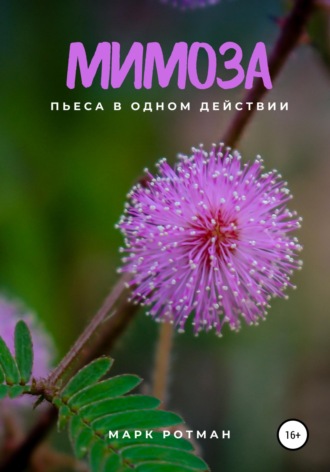 Обложка книги «Мимоза»