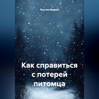 Обложка книги «Как справиться с потерей питомца»