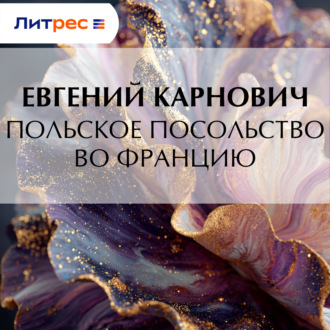 Обложка книги «Польское посольство во Францию»