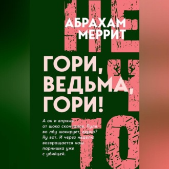 Обложка книги «Гори, ведьма, гори!»