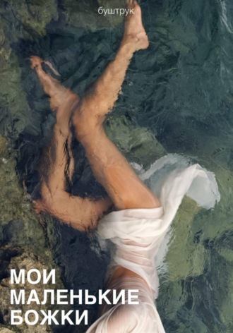 Обложка книги «Мои маленькие божки»