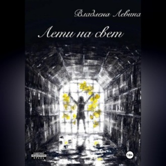 Обложка книги «Лети на свет»