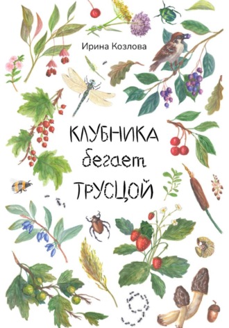 Обложка книги «Клубника бегает трусцой»