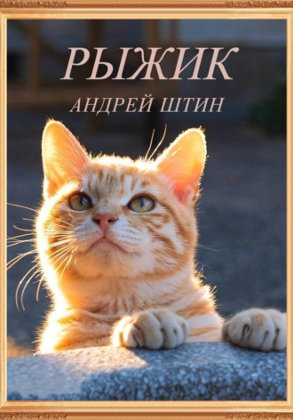Обложка книги «Рыжик»