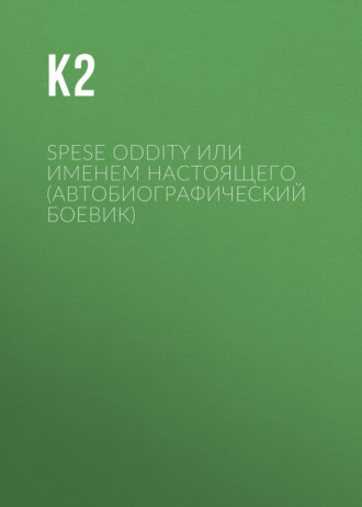 Обложка книги «Space Oddity (автобиографический квест)»