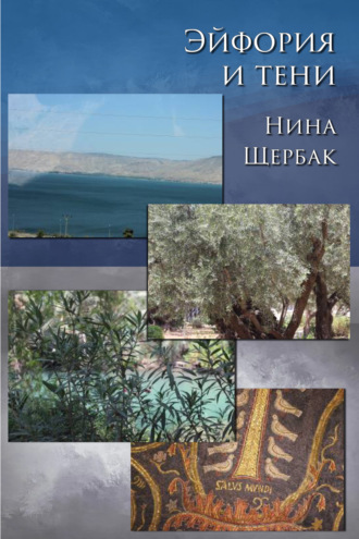 Обложка книги «Эйфория и тени»