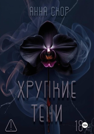 Обложка книги «Хрупкие тени»