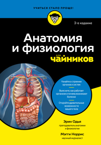 Обложка книги «Анатомия и физиология для чайников»