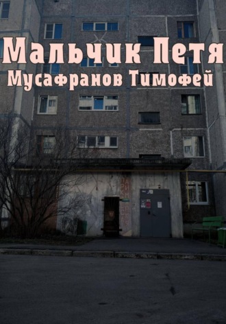 Обложка книги «Мальчик Петя»