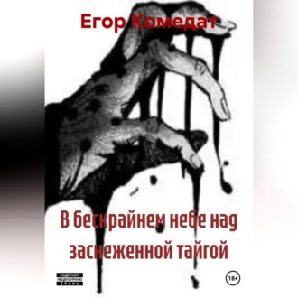 Обложка книги «В бескрайнем небе над заснеженной тайгой»
