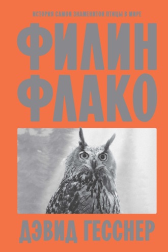 Обложка книги «Филин Флако. История самой знаменитой птицы в мире»