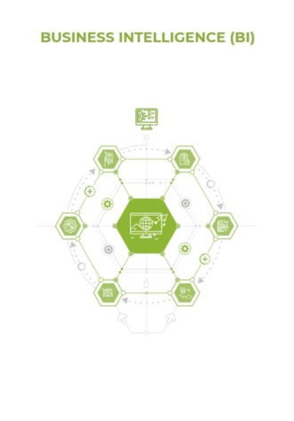Обложка книги «Business Intelligence (BI)»