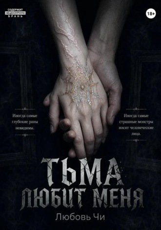 Обложка книги «Тьма любит меня»