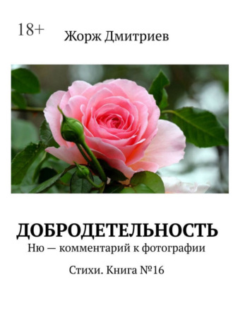 Обложка книги «Добродетельность. Ню – комментарий к фотографии. Стихи. Книга №16»