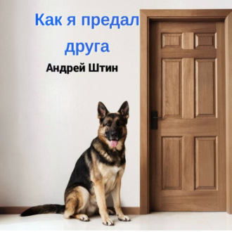 Обложка книги «Как я предал друга»