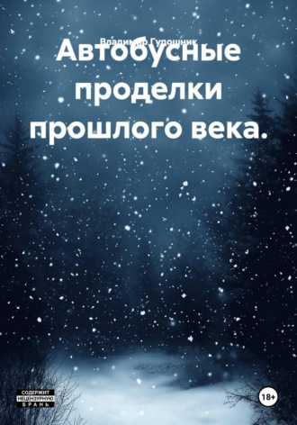 Автобусные проделки прошлого века.. Владимир Савельевич Гудошник