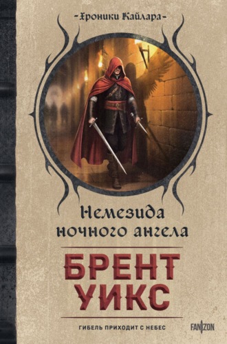 Обложка книги «Немезида ночного ангела»