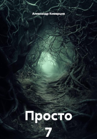 Александр Николаевич Комарцов. Просто 7
