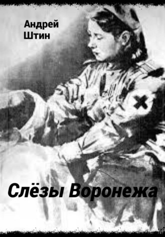 Обложка книги «Слёзы Воронежа»