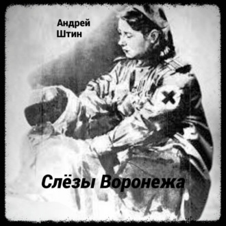 Обложка книги «Слёзы Воронежа»
