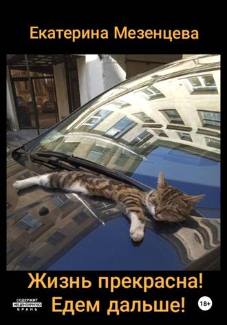 Екатерина Владимировна Мезенцева. Жизнь прекрасна! Едем дальше!