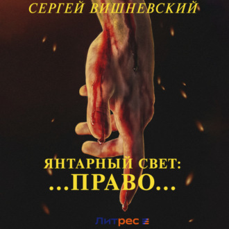 Обложка книги «Янтарный свет: …Право…»
