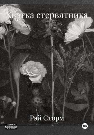 Рэй Сторм. Хватка стервятника