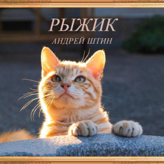 Обложка книги «Рыжик»