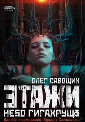 Обложка книги «Этажи. Небо Гигахруща»