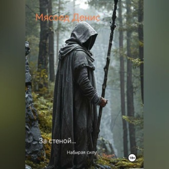 Обложка книги «За стеной… Набирая силу»