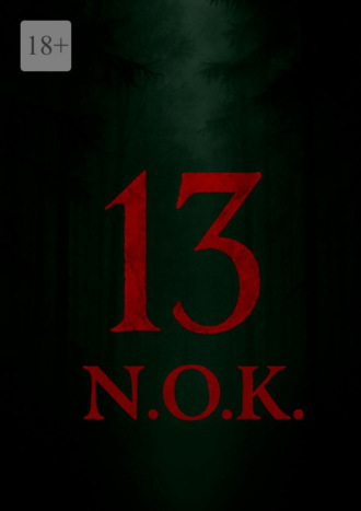 Обложка книги «13»