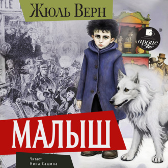 Обложка книги «Малыш»